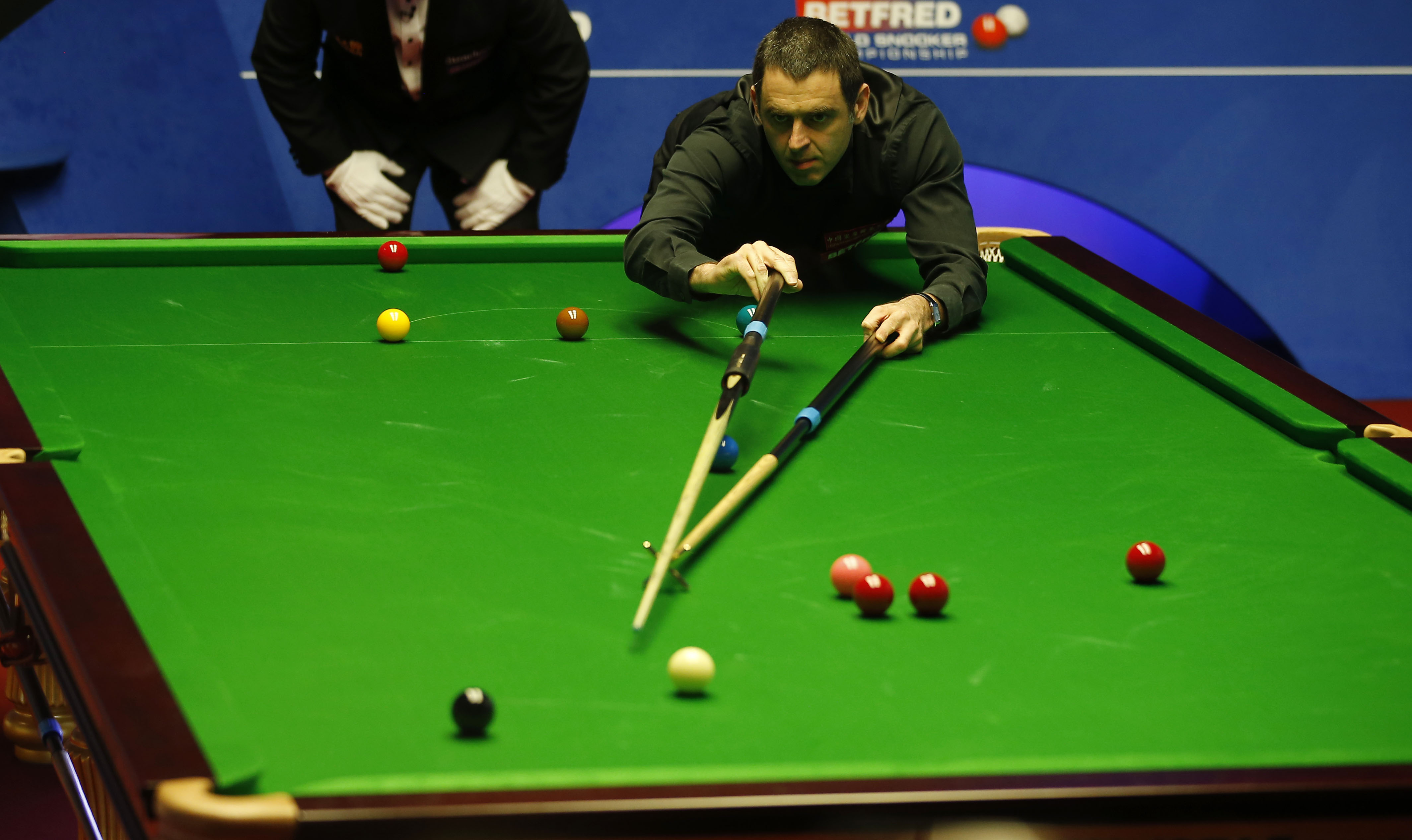 比赛经验的 比赛经验的