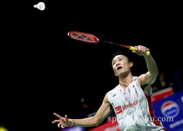 是她与团队 是她与团队