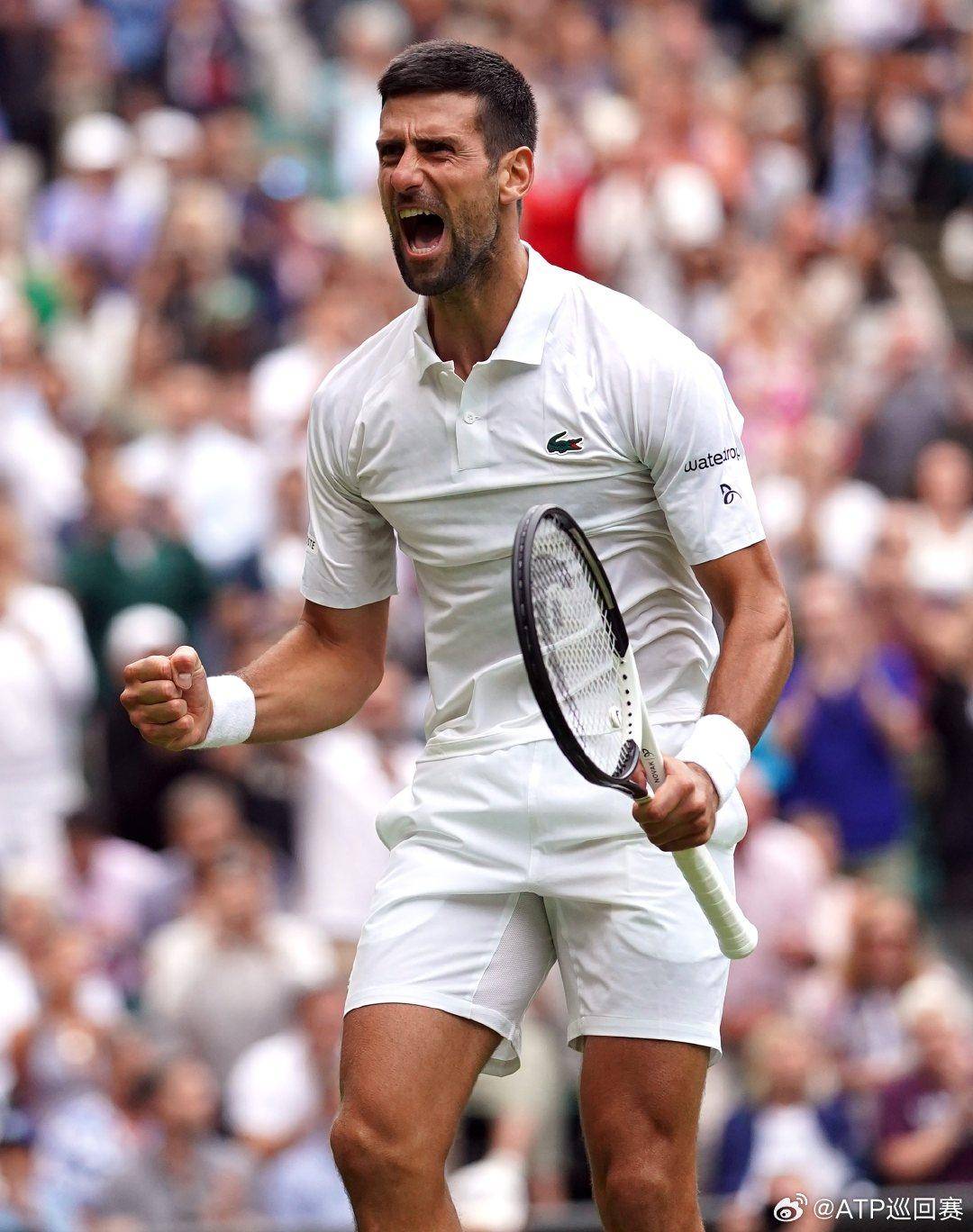 并给出要点 并给出要点